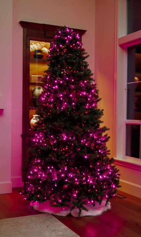 Novelle Trees — premium LED illumination